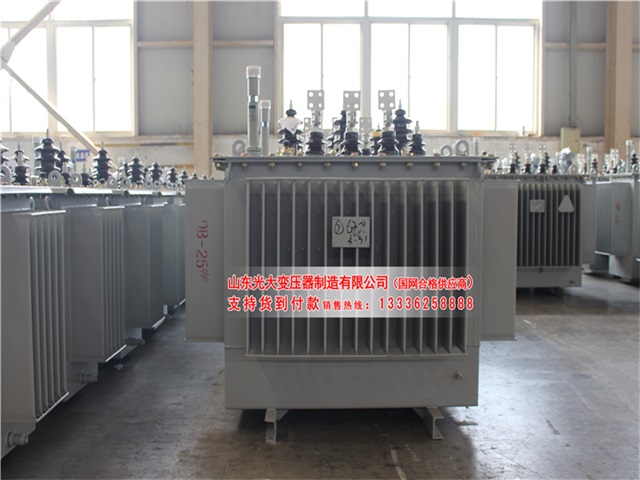 台州S22-4000KVA油浸式变压器